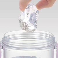 スケーター 水筒 480ml 食洗機対応プラクリアボトル プリンセス24 447960 1個（直送品）