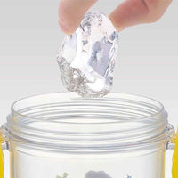 スケーター 水筒 480ml 食洗機対応プラクリアボトル トイストーリー24 447961 1個（直送品）