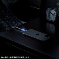 サンワサプライ  USB2.0 Type-C 両側コネクタ540度回転ケーブル ホワイト（100W・1m） KU-CCP100KAW10W（直送品）