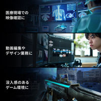 サンワサプライ  DisplayPortver2.1ケーブル3m（DP40） KC-DP4030（直送品）