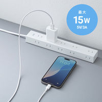 サンワサプライ  USB 2.0 Type-Cケーブル（C-A・2m・ホワイト） KU-CA20W（直送品）