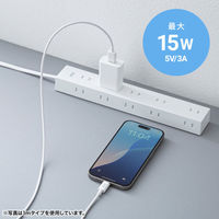 サンワサプライ  USB 2.0 Type-Cケーブル（C-A・3m・ホワイト） KU-CA30W（直送品）