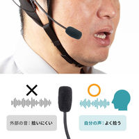 サンワサプライ  ヘルメット用イヤホンマイク（ガイドシステム用） MM-WGS4-HS4（直送品）