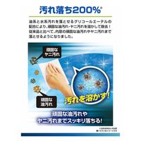 カーメイト エクスクリアプレミアム 内窓用ウェットシート C-180 1箱（直送品）