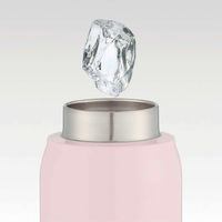 スケーター 水筒 500ml 炭酸飲料対応真空ステンレスボトル MMペイント 458782 1個（直送品）