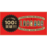 ドイツ ビコーズ アイム リースリング フロム ドイツ 白ワイン 辛口 750ml 1本 フィラディス