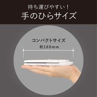 小泉成器 USB給電式ストレートアイロン KHS-8560/W 1台