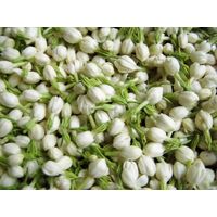 趣華茶(syukacha) 有機 ジャスミン茶 ティーバッグ 1袋（30バッグ入）