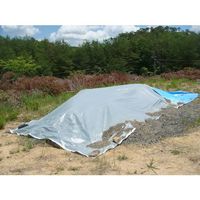 萩原工業 萩原 【売切廃番】 ターピー 1年シート 3.6m×5.4m 1NST-3654 1枚 167-0145（直送品）