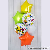 宝興産 ibrex PEANUTS(スヌーピー)コングラッツスプラッシュ 0201519103 1袋