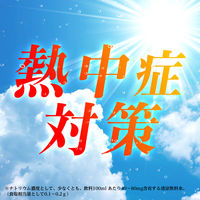 伊藤園 リカバリー ブーストスパークリング 500ml 1箱（24本入）