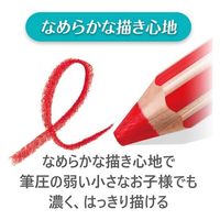 ステッドラー ノリスジュニア色鉛筆18色36本セット140C36 140 C36 1セット（直送品）