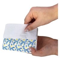 花岡 バックインミニティシュ 3袋入 1セット(1パック3枚入)×5（直送品）