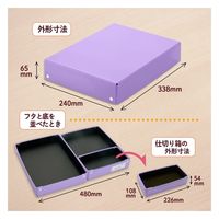 プラス 仕切り箱付きおどうぐばこ パープル FL-196SF 1個（直送品）