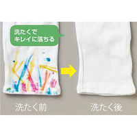 ぺんてる にこにこカラーペン8色セット SCS3-8 1セット(2個)（直送品）