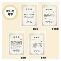 オキナ OA対応賞状用紙 SX-A3Y A3横書 10枚 1パック(10枚)×2（直送品）