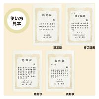 オキナ OA対応賞状用紙 SX-B4Y B4横書 10枚 1パック(10枚)×2（直送品）