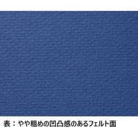 エスケント リブカラー 4ツ切10枚 NO802 Dブルー リブ4ツ10デイープブルー802 1包（直送品）