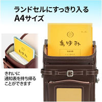 プラス 通知表ホルダー A4 FL-200SF YL 1冊 1セット(1冊×5)（直送品）