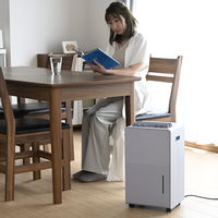 YAMAZEN 除湿機 除湿量6L 衣類乾燥 湿度コントロール 水タンク4.5L ライトグレー YDC-H601(H) 1台