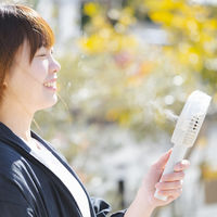 トップランド ミストハンディファン 羽根径8cm 風量3段階 2Way電源 ライトグレー SF-HFM10LG 1台