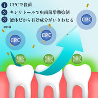 マウスウォッシュ 個包装 ロングスピンZERO 10mL（1本あたり）スティックタイプ シトラスミント 1箱（30本入） オキナ