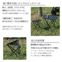 武田コーポレーション ジュラルミンスツール ブラック LS20-27(BK) 1箱(12個入)（直送品）