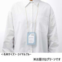 プラス オール紙製名札名刺サイズ CT-E5 グリーン 1箱（直送品）