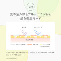 naturaglace（ナチュラグラッセ） スキンケアシールドルースパウダーUV ミントレモン SPF50+・PA+++　限定