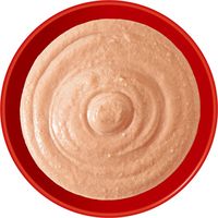 いなば CIAO チャオ ちゅ～るごはん 猫 総合栄養食 まぐろ 国産（14g×4本）6袋 ちゅーる キャットフード 猫用 おやつ