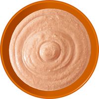 いなば CIAO チャオ ちゅ～るごはん 猫 総合栄養食 とりささみ 国産（14g×4本）6袋 ちゅーる キャットフード 猫用 おやつ