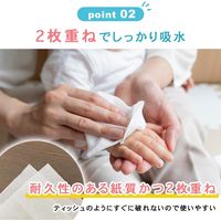 ハンカチいらずのペーパータオル ポケットティッシュサイズ パルプ 10組（2枚重ね）のん・しゅきん10組16P30入 1セット（1個×30）トーヨ