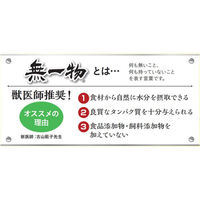 無一物 寒天ゼリータイプ かつお 国産 40g 1セット（1袋×24）はごろもフーズ キャットフード ウェット パウチ