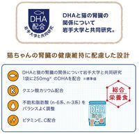 腎活 1歳頃からシニア猫まで まぐろとかつおペースト 国産 40g 1セット（1袋×6）アイシア キャットフード 猫用