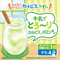 カルピス芳醇メロンプラスチックボトル ＜希釈用＞470ml 1箱（12本入）
