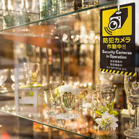 アルファ 5ヶ国語ステッカー 防犯カメラ OK-CW00037 1枚（直送品）