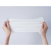 溝端紙工印刷 IKONIH ヒノキウエットタオル 平型 1セット（100枚：50枚入×2袋）