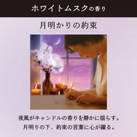 レノア オードリュクス ホワイトムスク 詰め替え 超特大 1050mL 1セット（1個×6） 柔軟剤 P＆G
