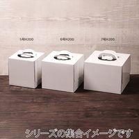 サガシキ ケーキ箱 白無地デコ箱7号 H200 4582673770207 1セット(1袋(5枚入)×4)（直送品）