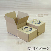 サガシキ ダンボール 宅配・輸送用60サイズ用 4582673770801 1セット(20枚入)（直送品）