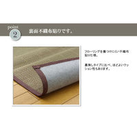 イケヒコ DXアロマ 花ござ 江戸間3畳 2610×1740mm ベージュ 1030230010302 1枚（直送品）