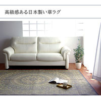 イケヒコ サークル い草ラグ 2500×1910mm ネイビー 1050530193904 1枚（直送品）