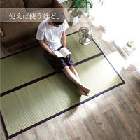 イケヒコ 沖縄ビーグ い草ラグ 2000×1280mm ネイビー 1050681191703 1枚（直送品）