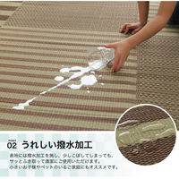 イケヒコ ラスタ（撥水） い草ボリュームラグ 3000×1900mm ブラウン 1071390065016 1枚（直送品）