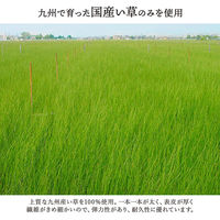 イケヒコ 大自然 花ござ 江戸間4.5畳 2610×2610mm 草原 1080330120502 1枚（直送品）