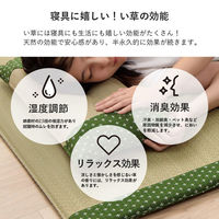 イケヒコ・コーポレーション 詩織 枕 イエロー 30×50cm 1122950296301 1個（直送品）