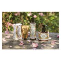 パニエデサンスアブソリュートローズゼラニウムリキッドマルセイユソープ 4517161144147 1セット(12個)（直送品）