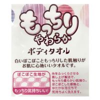 アイセン BT691 もっちりタオル B&G 4901105229920 1ケース(200個)（直送品）