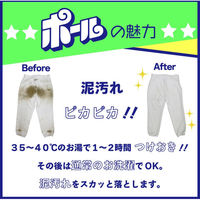 ミマスクリーンケア ポール 無リン 1kg 4902875210224 1セット(8個)（直送品）