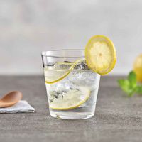 東洋佐々木ガラス ロックグラス 2個入り 340ml 薄づくり ガラス ファインクリア 403849 1個（直送品）